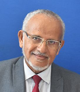 Prof. Mohamed Salim Badamana