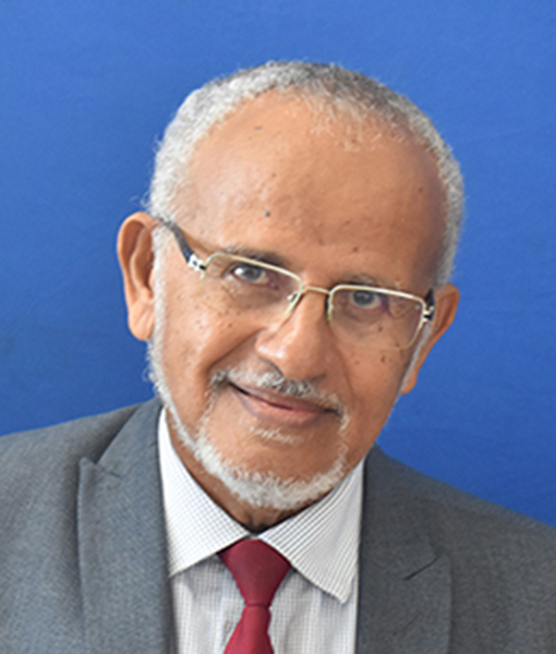 Prof. Mohamed Salim Badamana